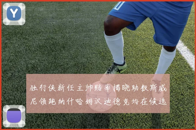 独行侠新任主帅赔率揭晓助教斯威尼领跑纳什哈姆汉迪德克均在候选之中